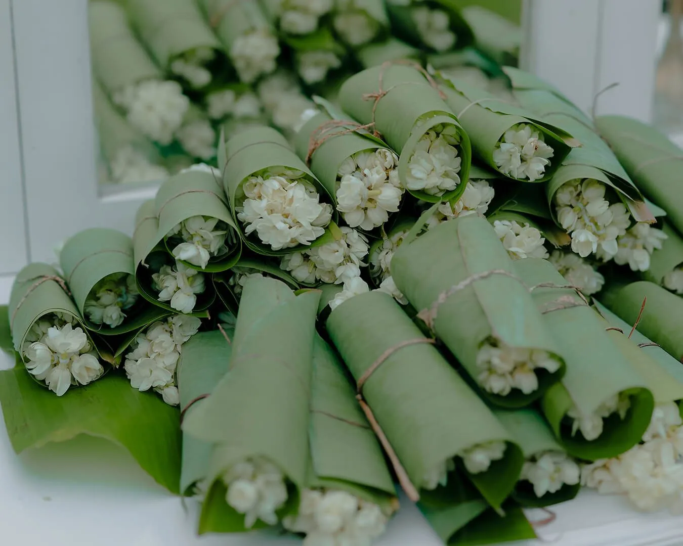Pavi and Aneil — wedding memories