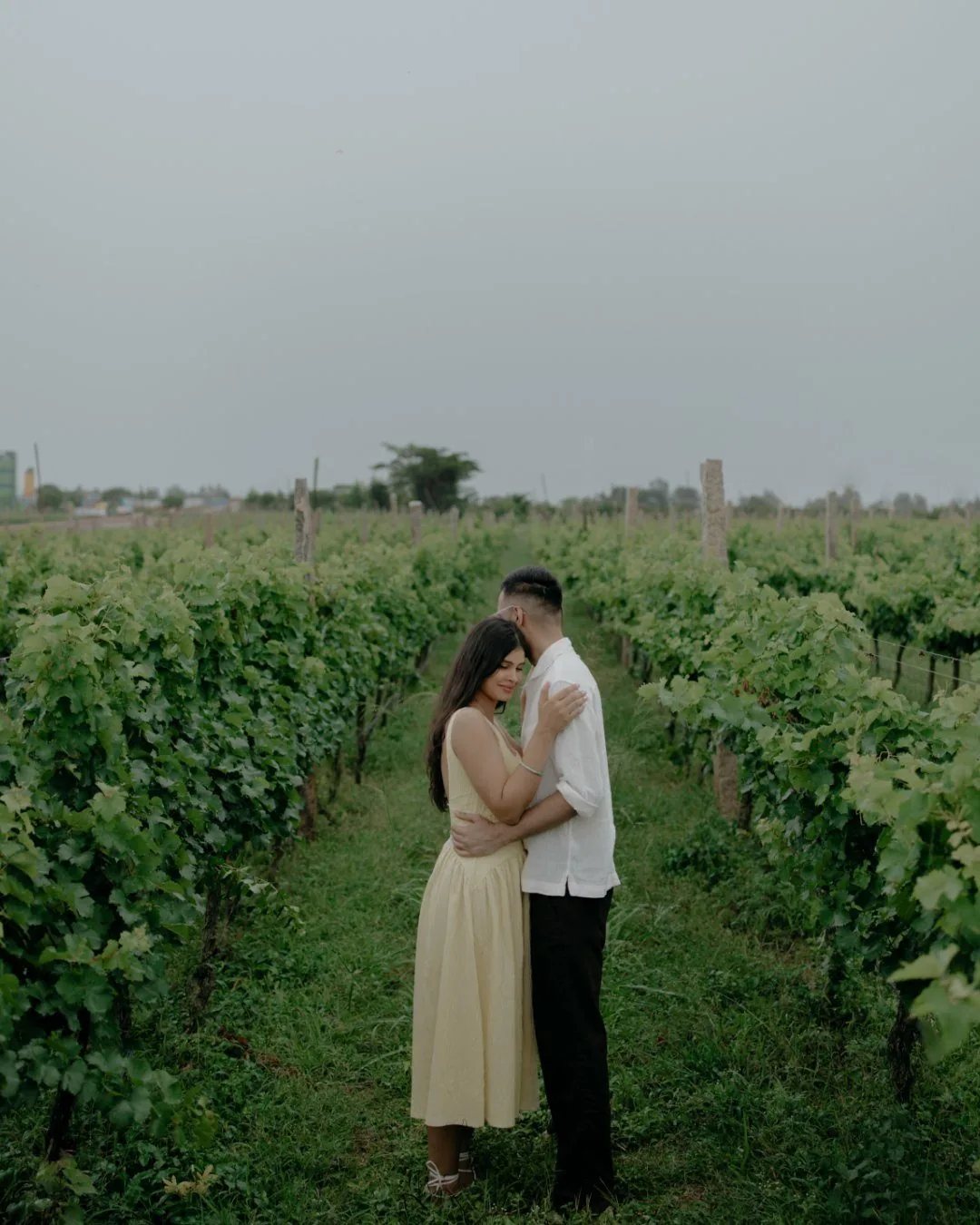 Aditya and Shreya — wedding highlights