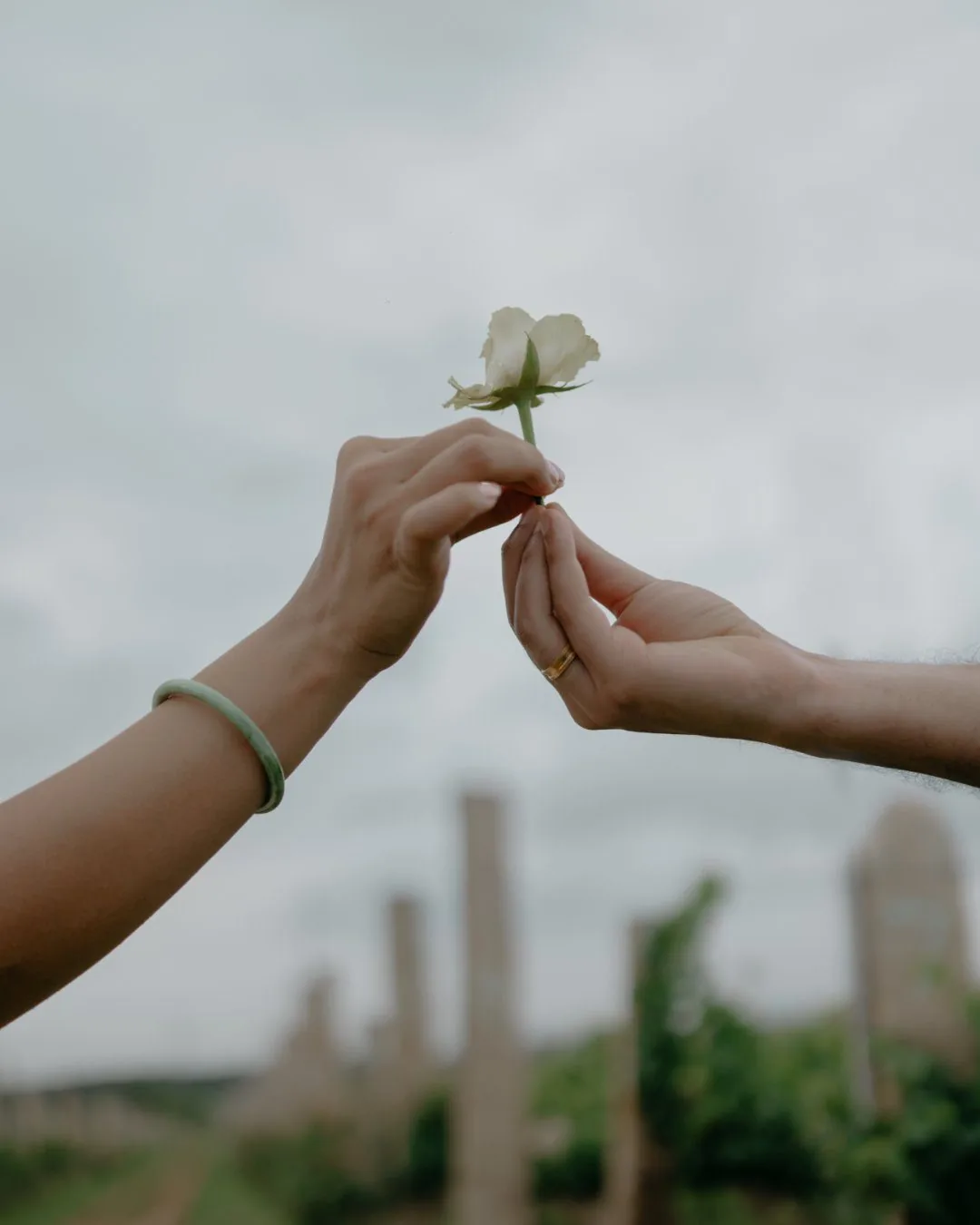 Aditya and Shreya — wedding memories